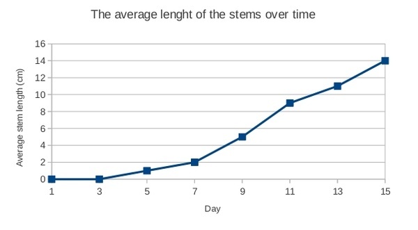 Kidney Bean Growth Chart