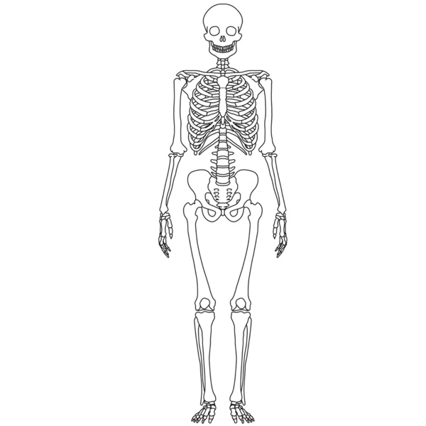 ATI TEAS 6th Edition- Science 1 Flashcards | Easy Notecards