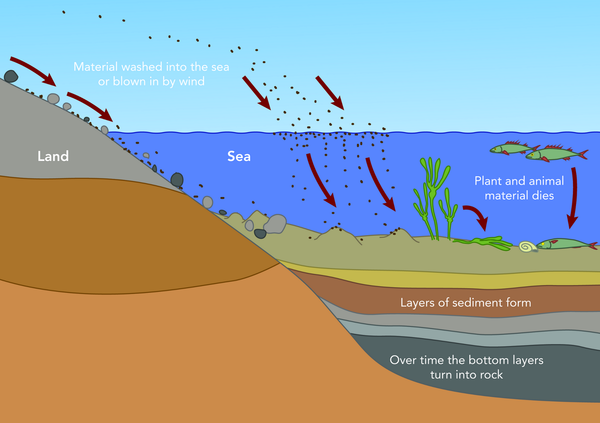 Formation Of Sedimentary Rocks - Lessons